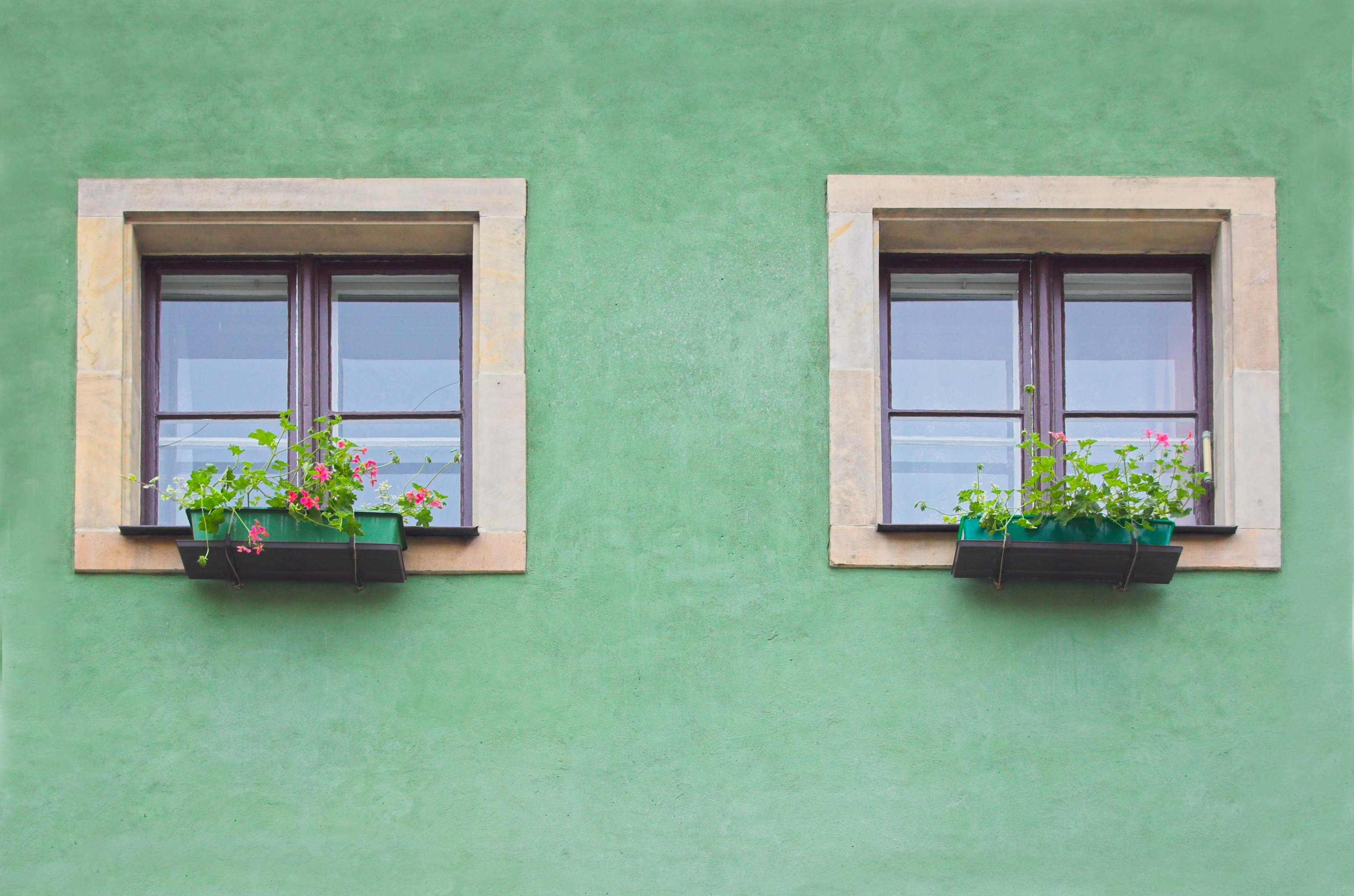 two-windows-green-wall.jpg